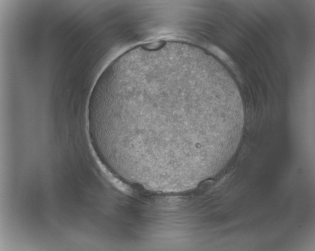 X0000067471431200604281842