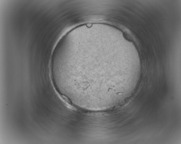 X0000067471432200604281842