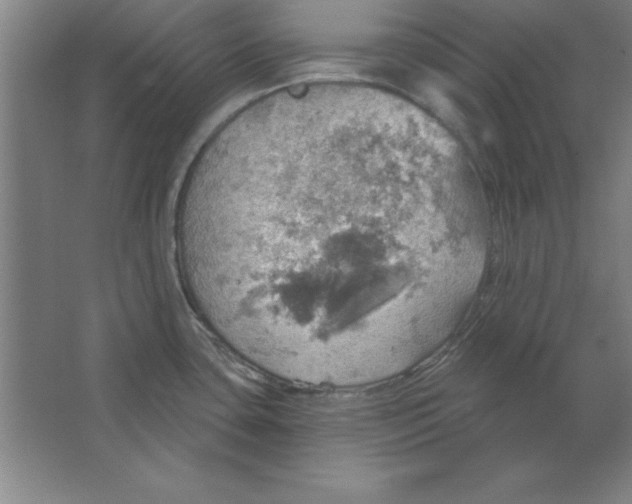 X0000067471435200604281842