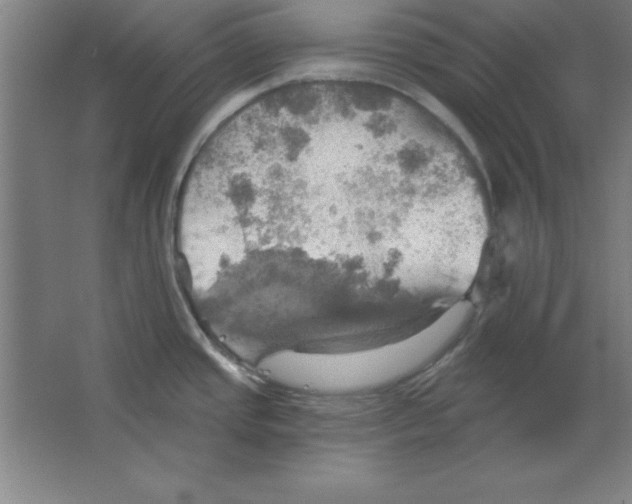 X0000067471437200604281842