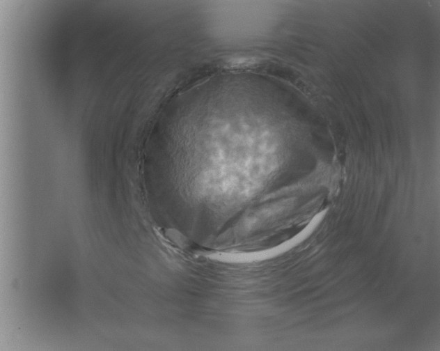 X0000067471441200604281842