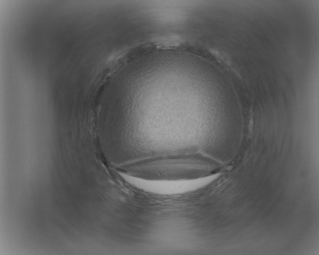 X0000067471445200604281842