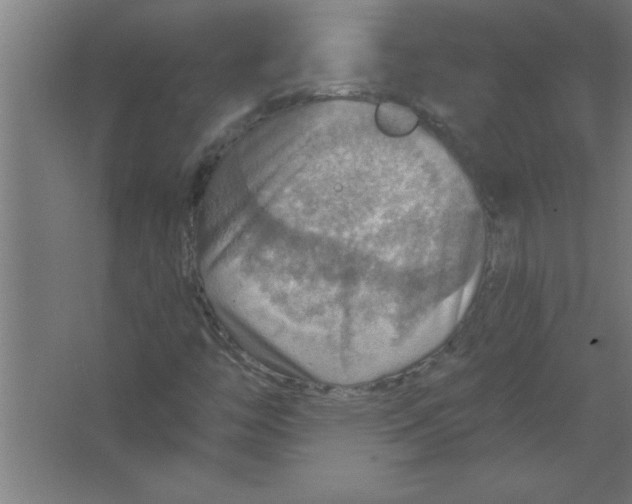 X0000067471446200604281842