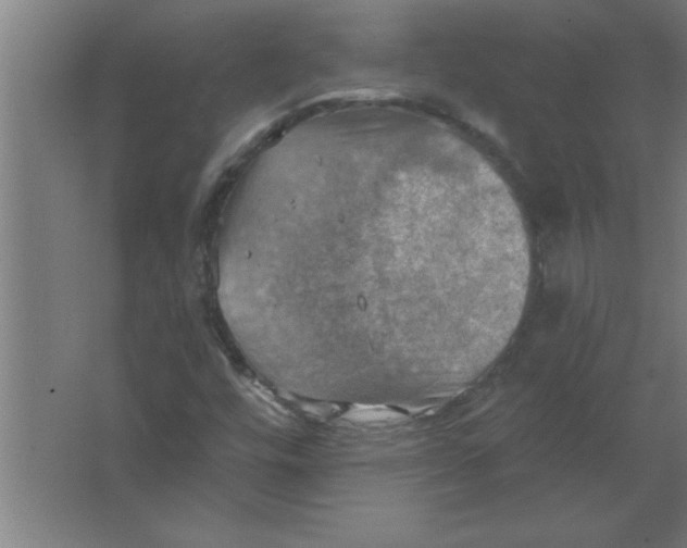 X0000067471448200604281842