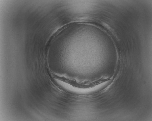 X0000067471449200604281842