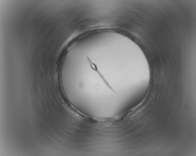 X0000067471450200604281842