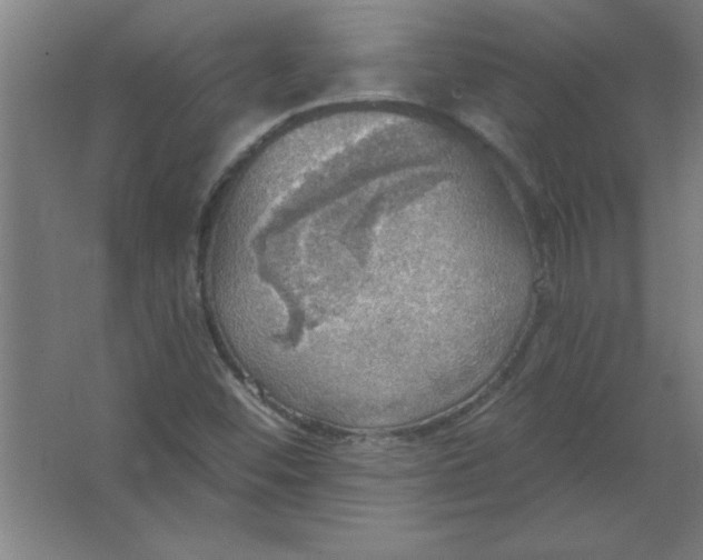 X0000067471452200604281842