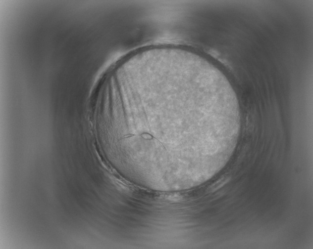 X0000067471454200604281842