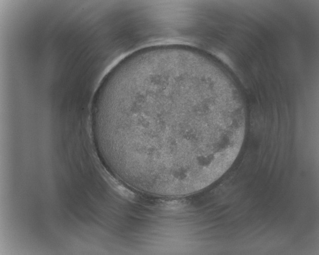 X0000067471460200604281841