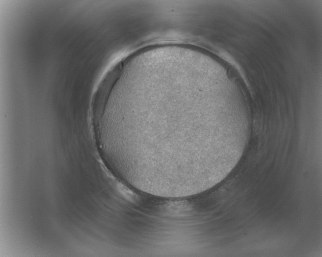 X0000067471464200604281841