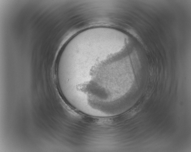 X0000067471466200604281841