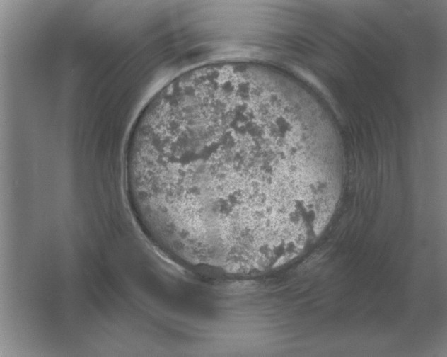 X0000067471467200604281841