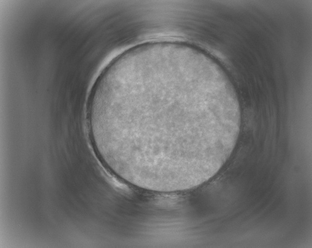 X0000067471470200604281841