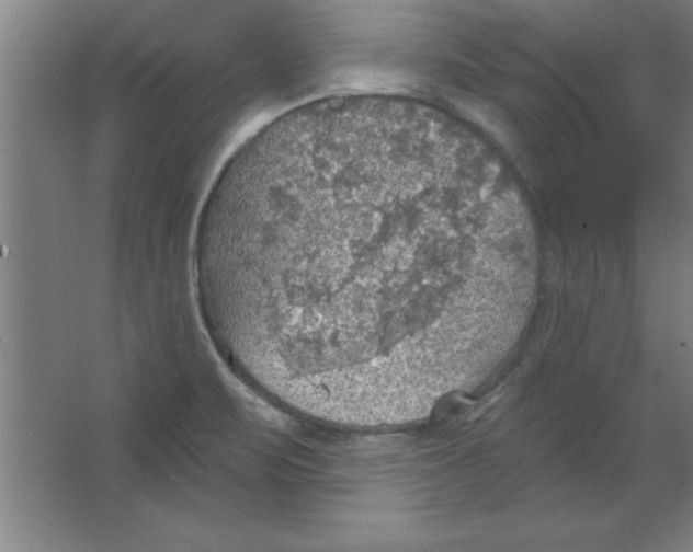 X0000067471471200604281841