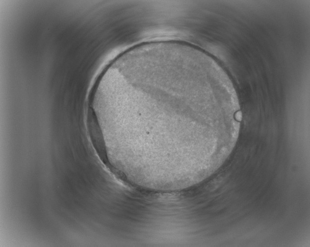 X0000067471472200604281841