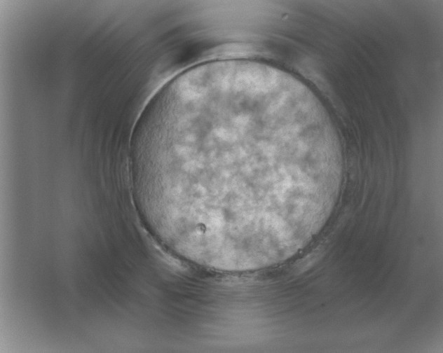 X0000067471473200604281841