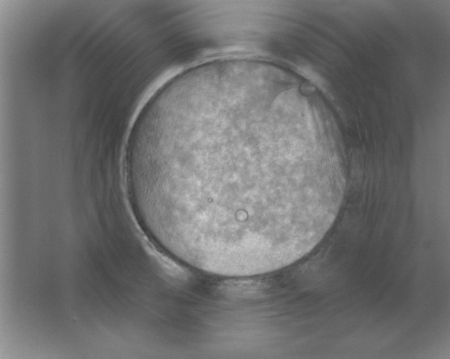 X0000067471474200604281841