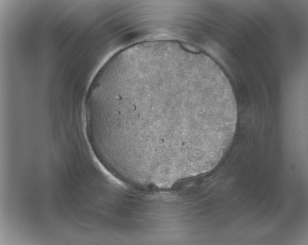 X0000067471476200604281841