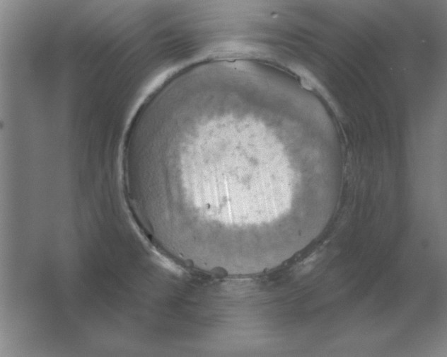 X0000067471477200604281841