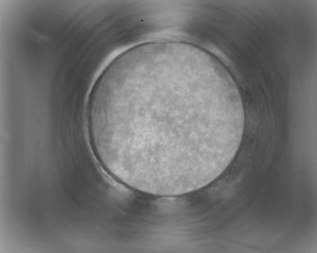 X0000067471478200604281841