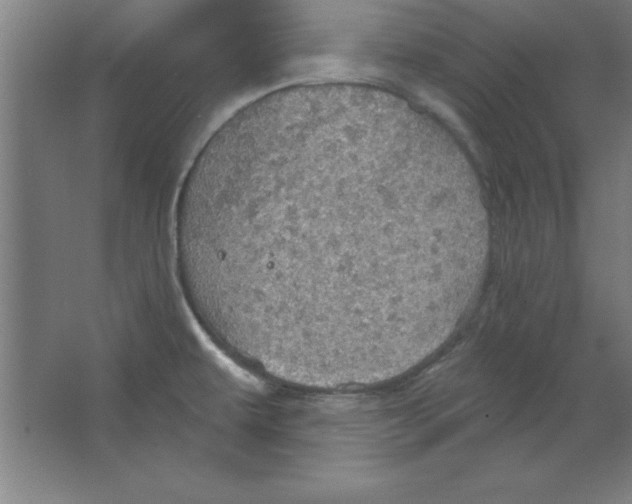 X0000067471479200604281841