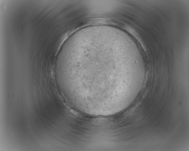 X0000067471481200604281841