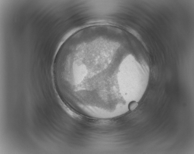 X0000067471482200604281841