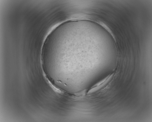 X0000067471485200604281841