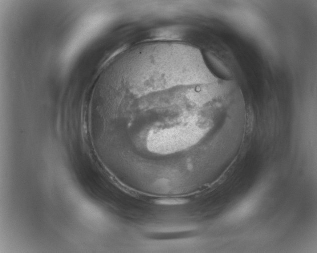 X0000067471487200604281841