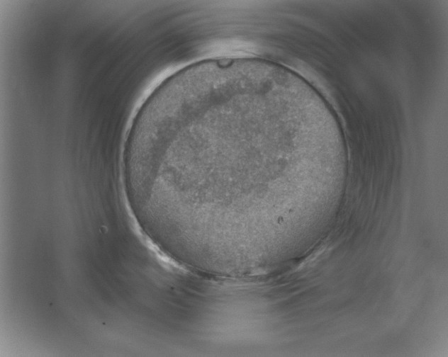 X0000067471488200604281841