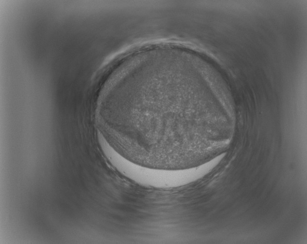 X0000067471494200604281840