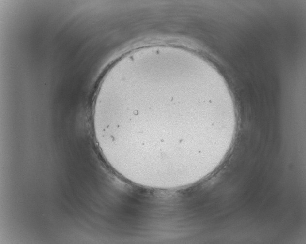 X0000067471498200604281840