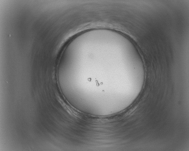 X0000067471499200604281840