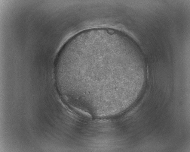 X0000067471501200604281840