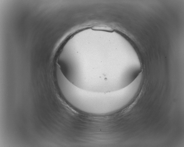 X0000067471502200604281840