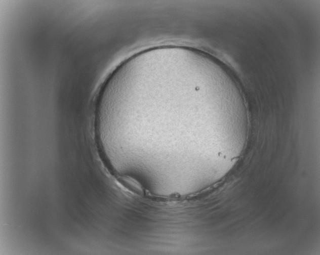 X0000067471504200604281840