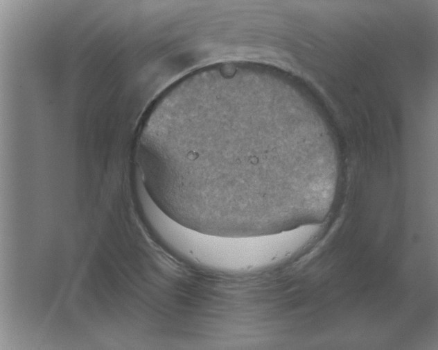 X0000067471505200604281840