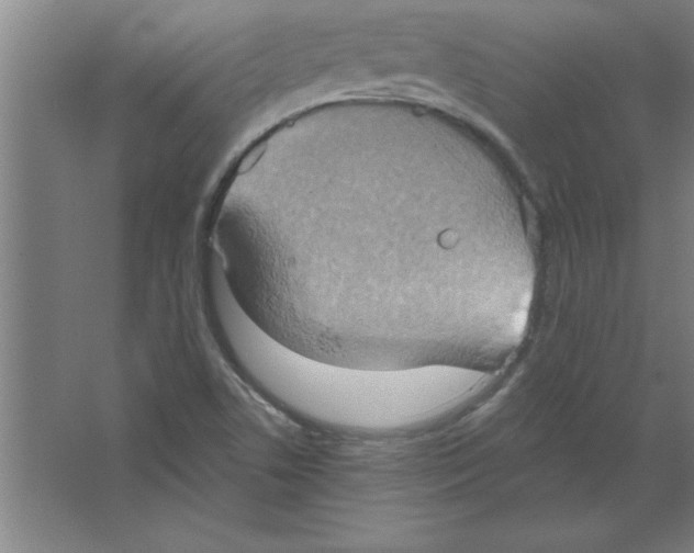 X0000067471506200604281840