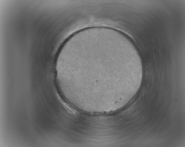 X0000067471507200604281840