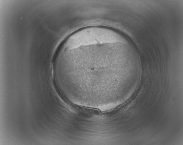 X0000067471509200604281840