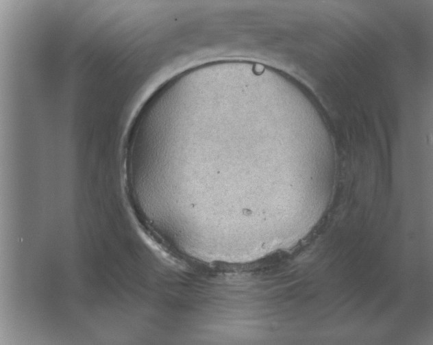 X0000067471511200604281841