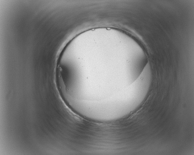 X0000067471512200604281841