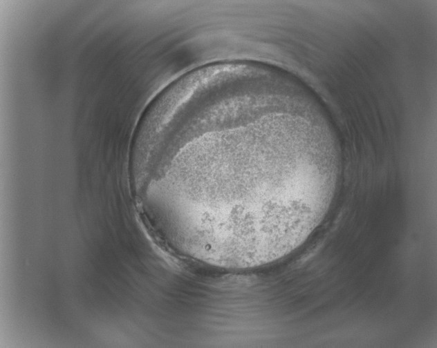 X0000067471513200604281841