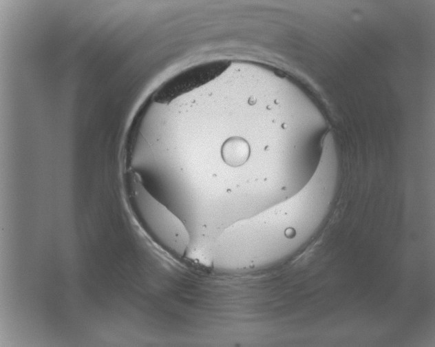 X0000067471514200604281841