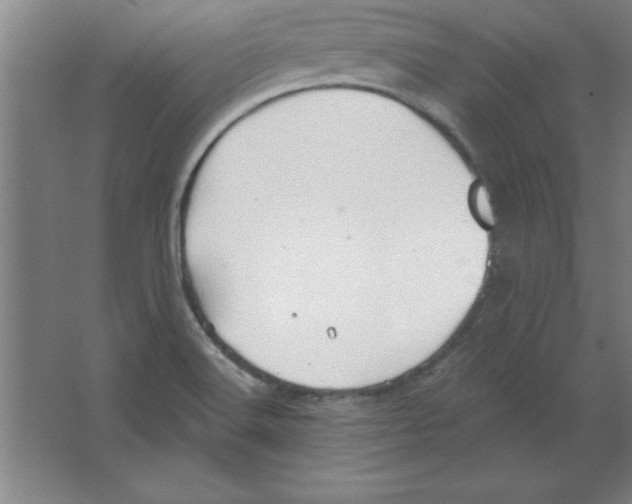 X0000067471516200604281841