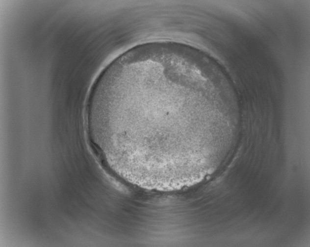 X0000067471517200604281841