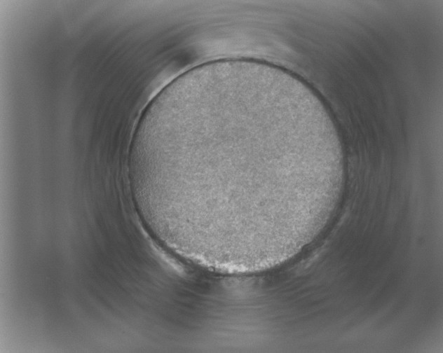 X0000067471521200604281841