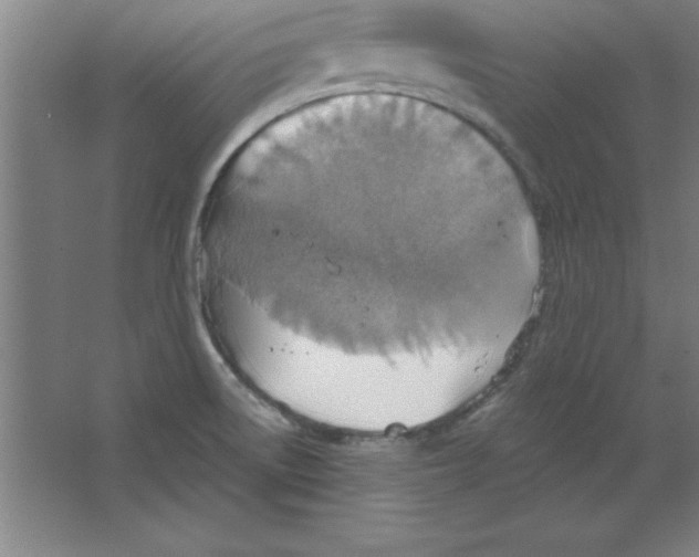 X0000067471522200604281841