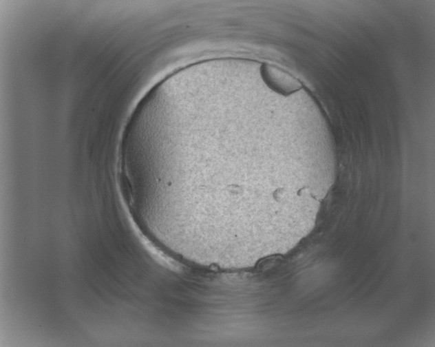 X0000067471523200604281841