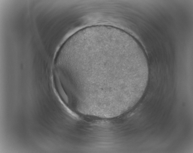 X0000067471525200604281841